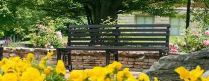 park bench in spring
