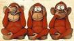 Monkeys see, hear, speak no evil, Bangra.com