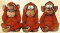 Monkeys see, hear, speak no evil, Bangra.com