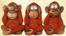 Monkeys see, hear, speak no evil, Bangra.com