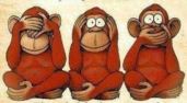 Monkeys see, hear, speak no evil, Bangra.com