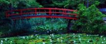 red footbrigde over lily pads