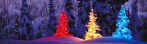 cropped-3-trees-lighted-in-different-colors2.jpg